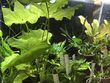 ペットプラザ相模原小山店 ペットプラザ相模原小山店